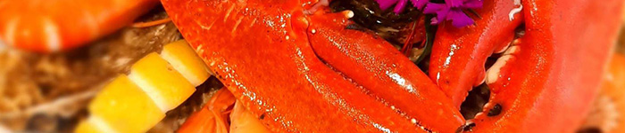 poissonnerie cannes - poissonnier cannes labocca - traiteur le cannet - fruits de mer antibes - livraison poisson theoule sur mer - crustaces menton - poisson frais gorbio