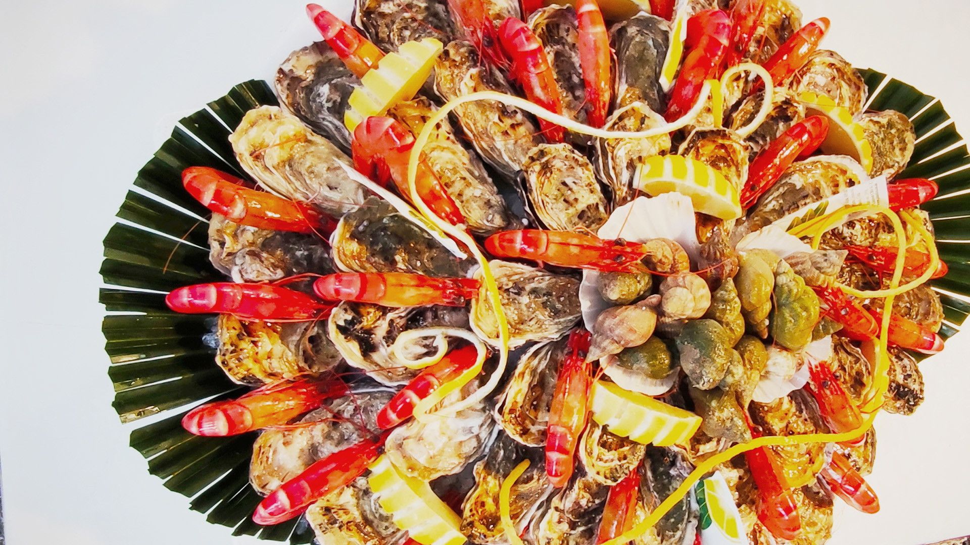 poissonnerie cannes - poissonnier cannes labocca - traiteur le cannet - fruits de mer antibes - livraison poisson theoule sur mer - crustaces menton - poisson frais gorbio